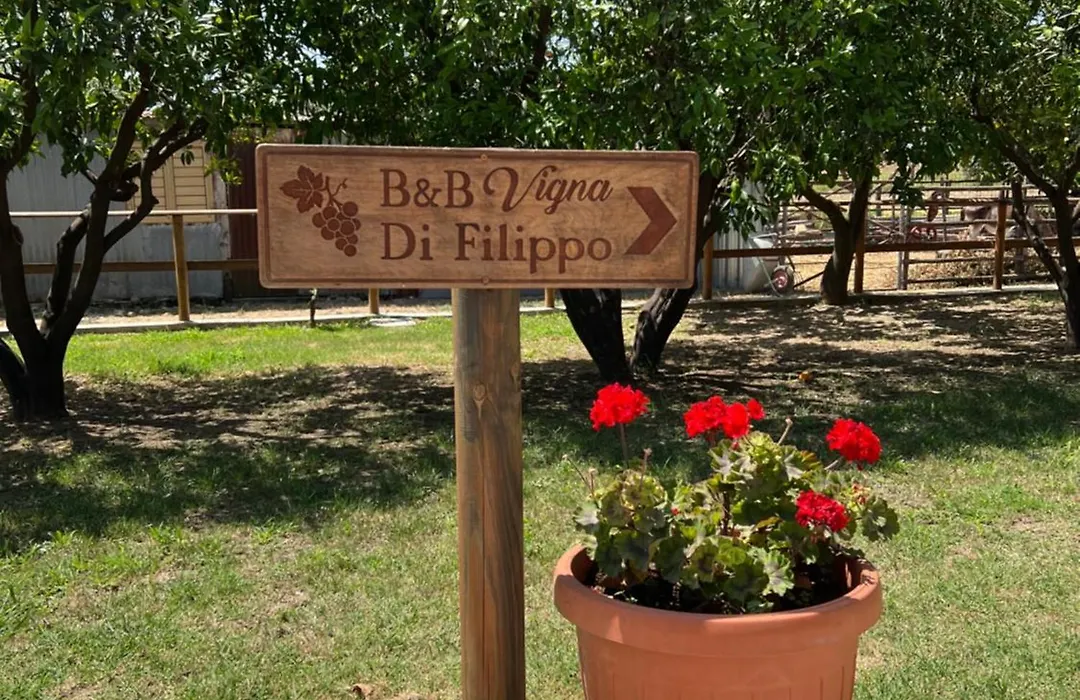 B&B Vigna Di Filippo - Paestum-1
